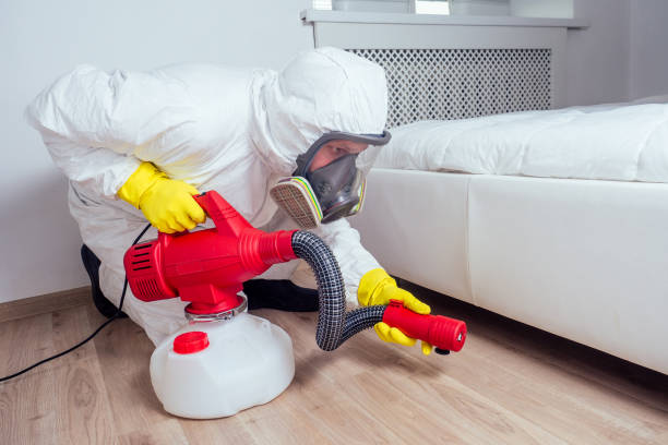 Best Mosquito Control Services  in Avon Park, FL