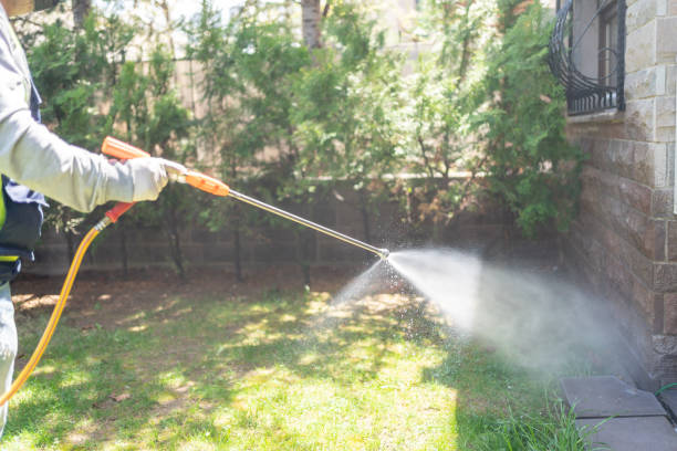 Best Wasp Removal Services  in Avon Park, FL