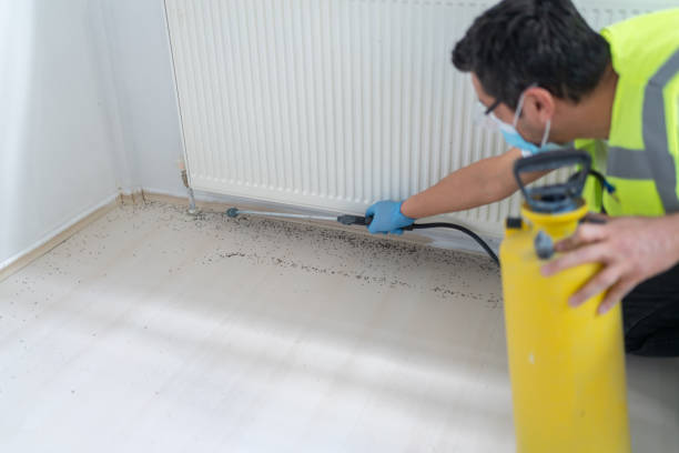 Best Best Pest Control Companies  in Avon Park, FL